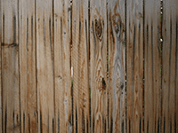wood 54