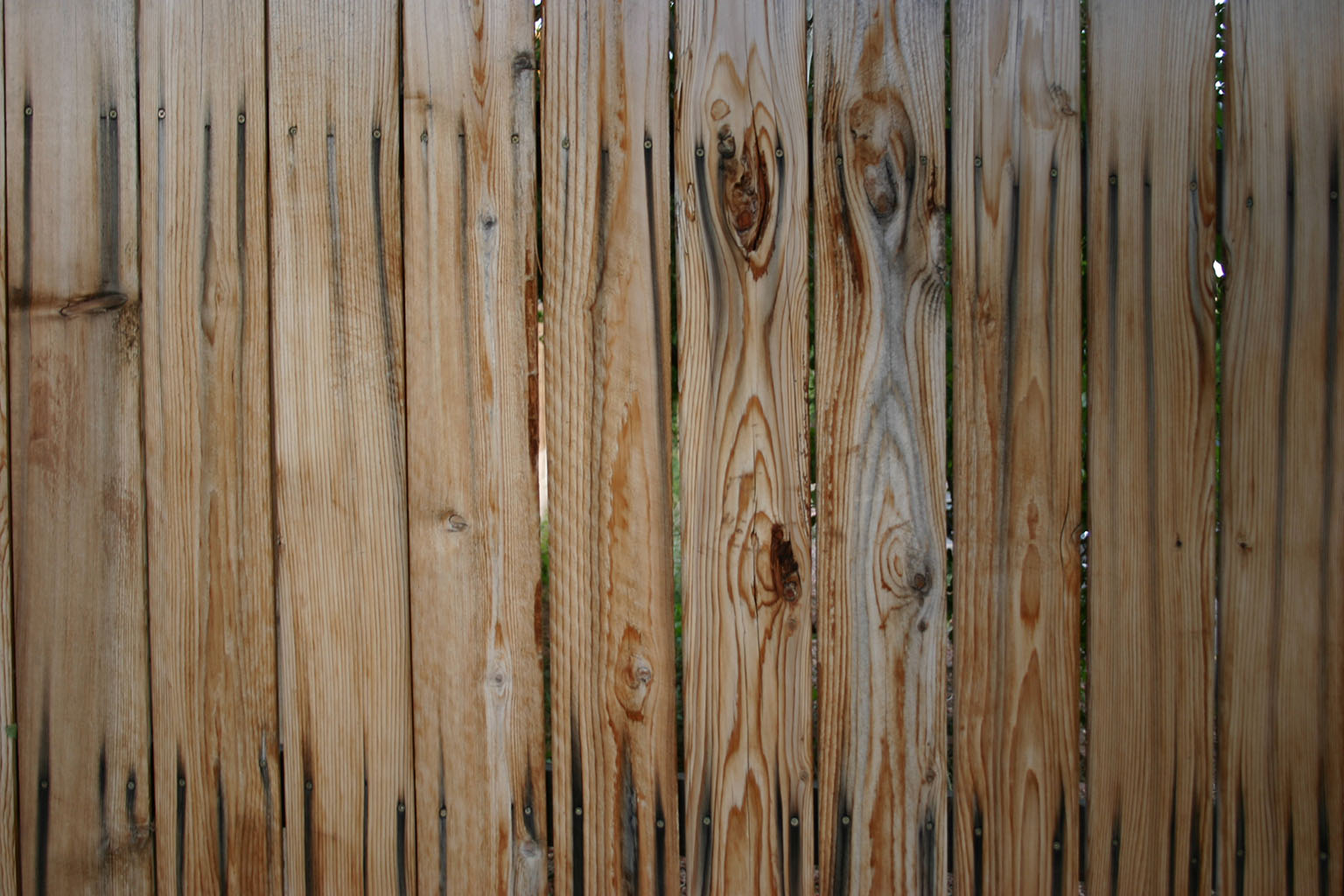 wood54