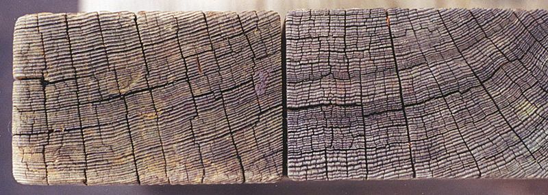 wood6
