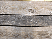 wood 66
