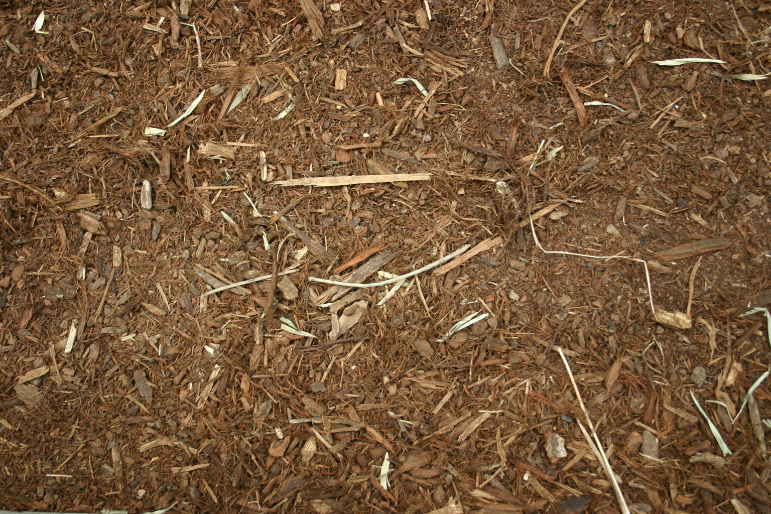 wood_chips5